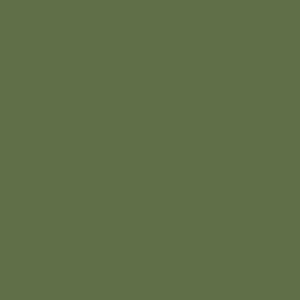 Dimension-Olive