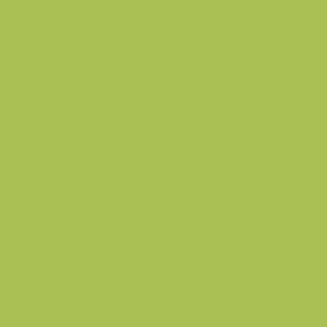 Dimension-Primary-Apple-Green