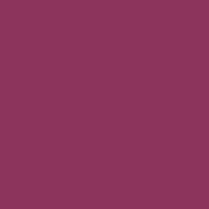 Dimension-Primary-Cerise