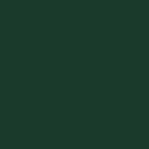Dimension-Primary-Forest-Green